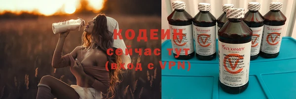 прущие грибы Белоозёрский