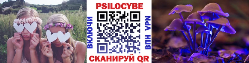 Купить  Аша  Псилоцибиновые грибы ЛСД 